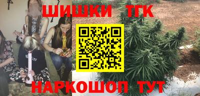 молекула духа Будённовск