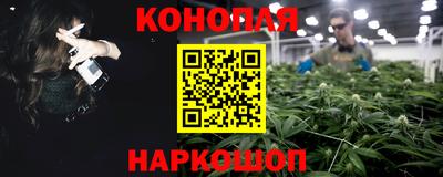 молекула духа Будённовск