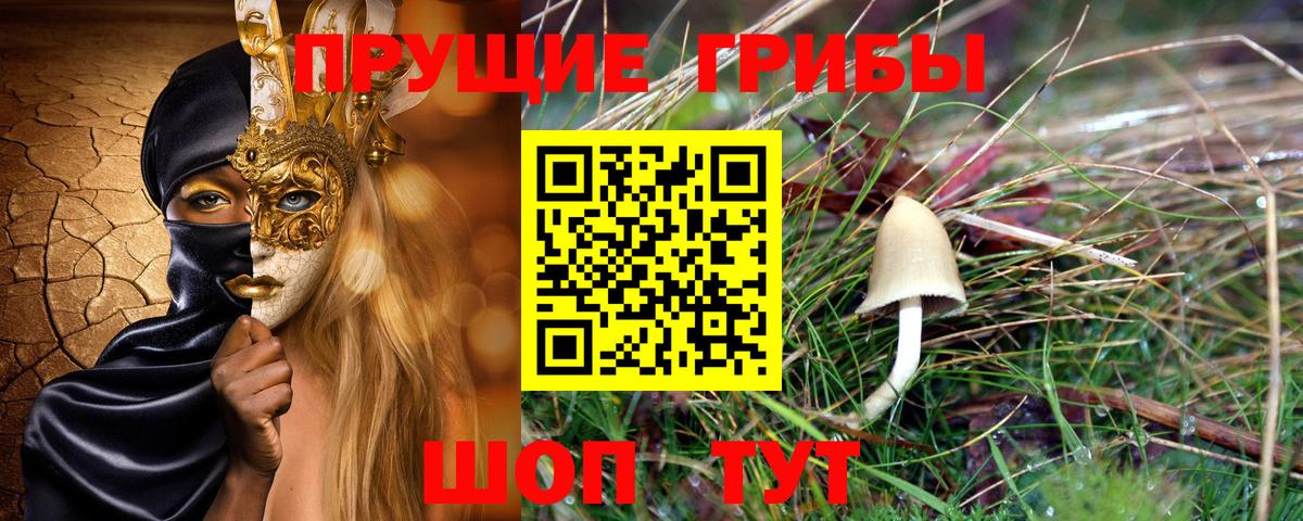 Петрозаводск  Псилоцибиновые грибы мицелий  Вход с VPN  Галлюциногенные грибы Magic Shrooms 